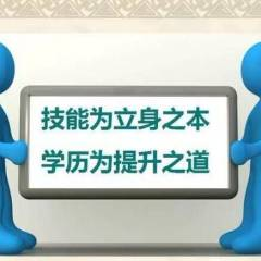 观叙拾录的头像